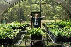Daintree Rainforest Plant Nursery Daintree Rainforest Plant Nursery