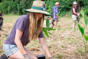 Plant A Rainforest - Trees Are The Answer