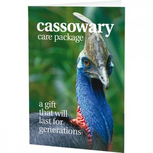 Cassowary Care Package - Printed
