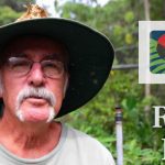 #FastFacts Rain in the Daintree