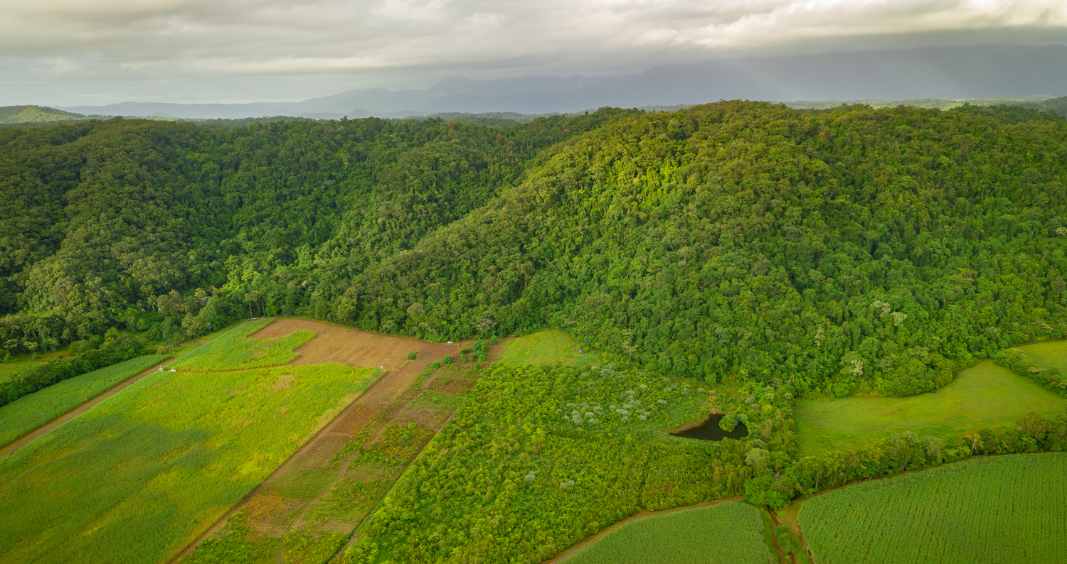 Aerial Image of NightWings Rainforest Centre - International Day of Forests Planting