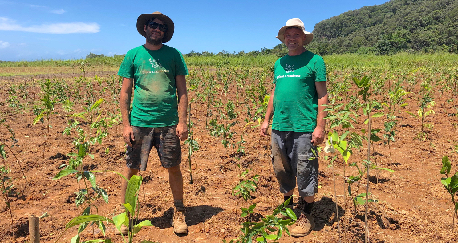 Image of two men in field of newly planted trees - International Day of Forests Planting