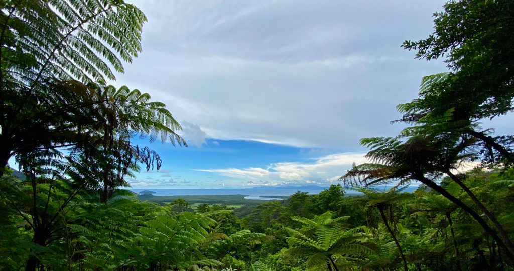 Cow Bay Lookout