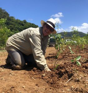 International Tree Planting Day at NightWings 2020