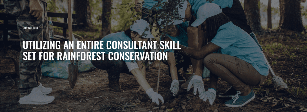 UTILIZING AN ENTIRE CONSULTANT SKILL SET FOR RAINFOREST CONSERVATION