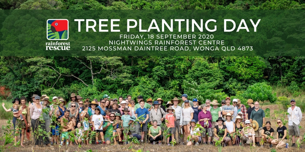 Tree Planting 18 Sep 2020