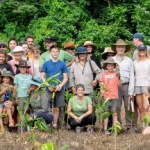 Tree Planting