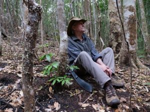 Dr Robert Kooyman Sitting Amongst Fire Damage at Nightcap National Park