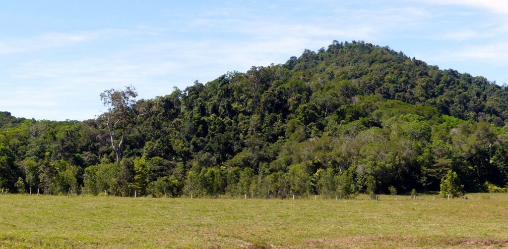 Northern Boundary of Easter Portion of Lot 83