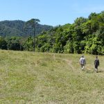 Walking back towards cattle yards Lot 83