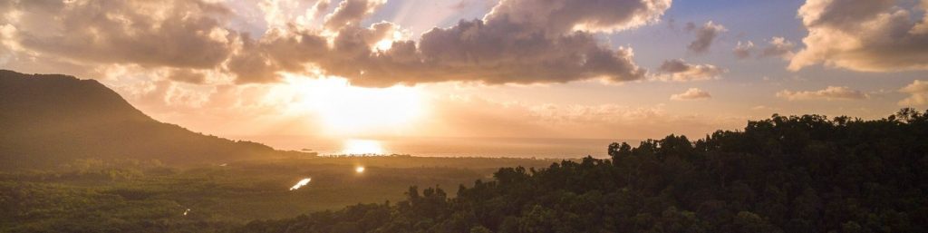 Daintree Sunrise © Martin Stringer Photography