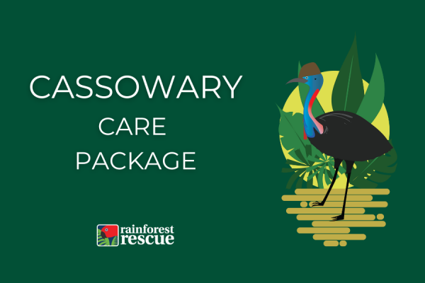 ecard cassowary care pack illustrated