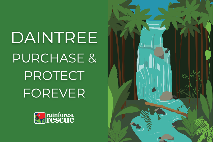 ecard daintree purchase and protect