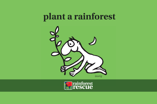 ecard plant a rainforest leunig