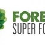 Forest Super Foods