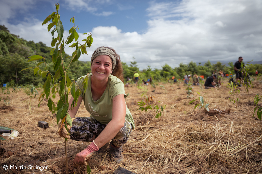 Rainforest Rescue Community Tree Planting