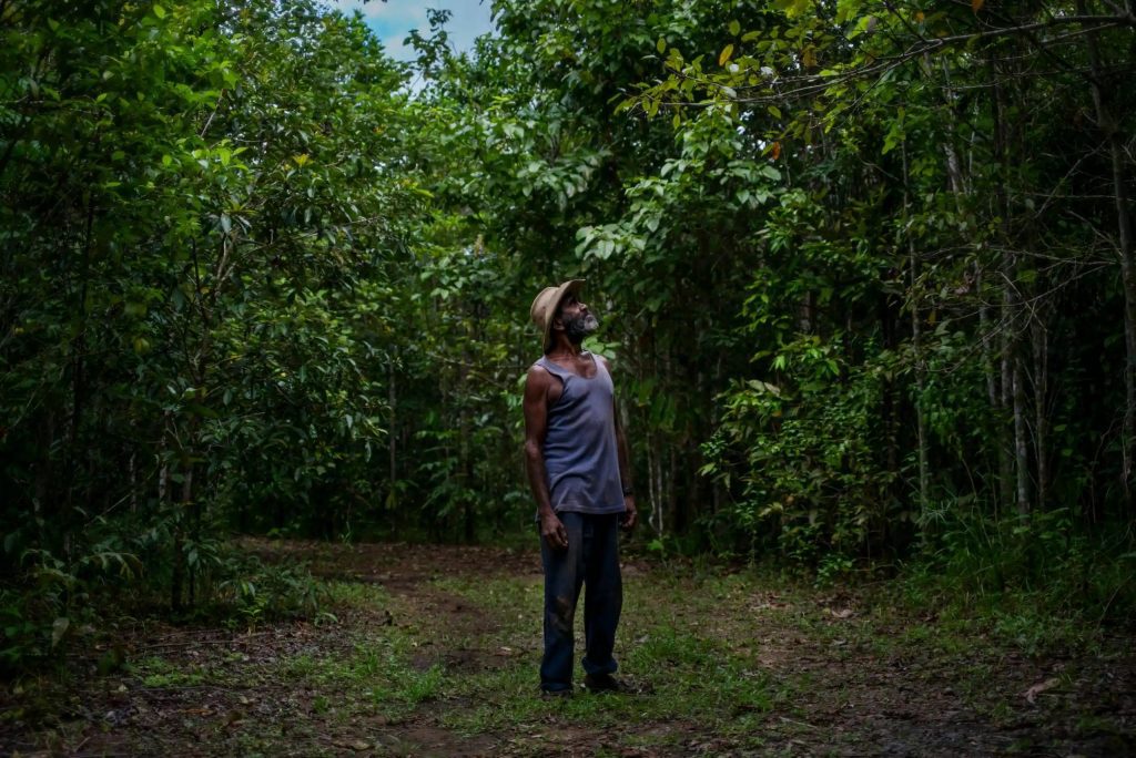 Andrew John Solomon, a Kuku Yalanji traditional owner of the Daintree, which was regenerated by Rainforest Rescue over a 10 year period. Photo by Sean Davey/Guardian