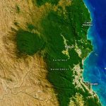 a rainforest like no other - NASA Earth Observatory