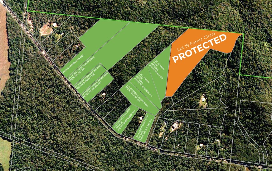 lot19-protected-web RESCUED Lot 19