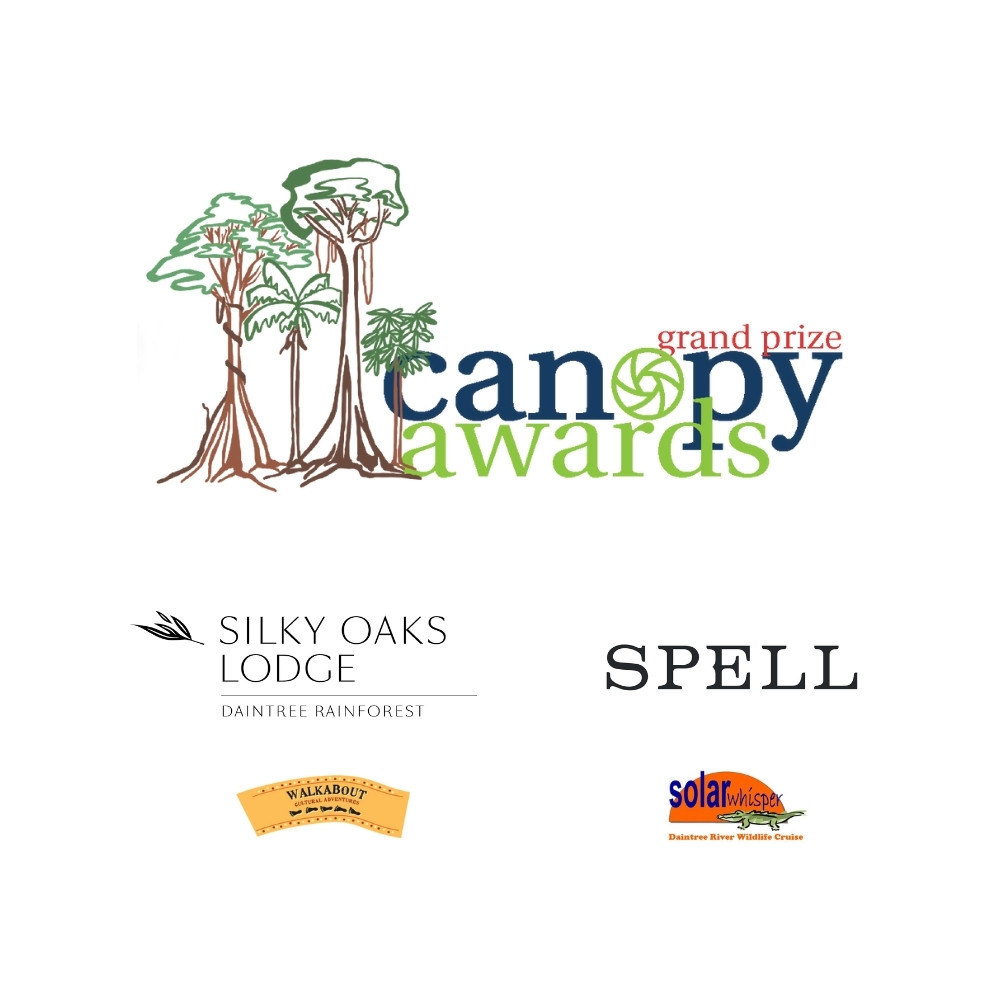 Rainforest Rescue Canopy Awards Grand Prize