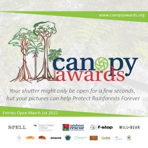 Rainforest Rescue Canopy Awards