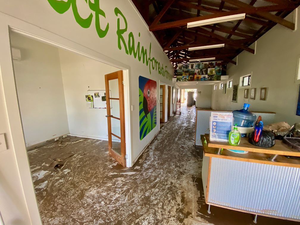 Rainforest Rescue HQ Flooded - After First Mud Scrub