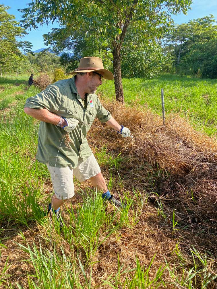 Removing Barbed Wire Fence