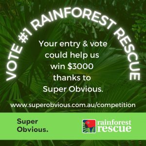 rainforest rescue and super obvious