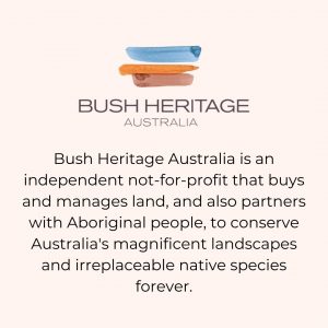 bush heritage super obvious