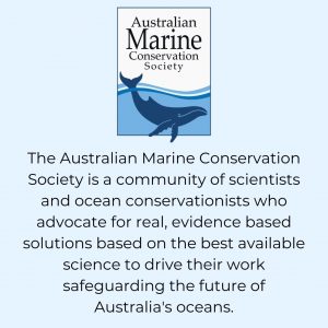 australian marine conservation society super obvious