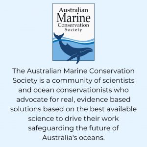 australian marine conservation society super obvious