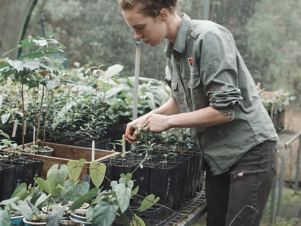 Marine Deliens at work in the shade house.