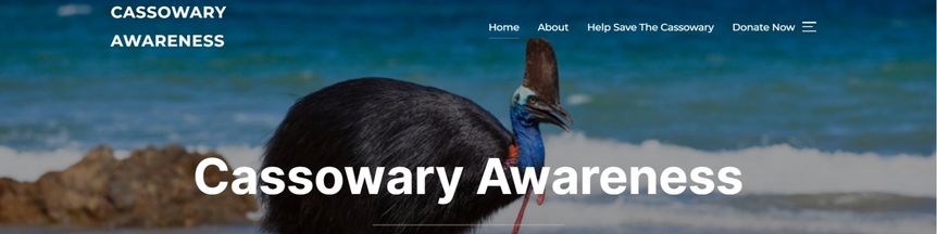 Amber's website for Cassowary Awareness
