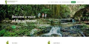 Rainforest Rescue's Conservation Partners - Big Scrub Rainforest Conservancy