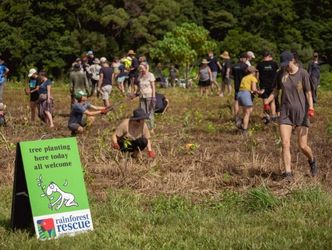 2023 Annual Community Tree Planting Day Rainforest Rescue