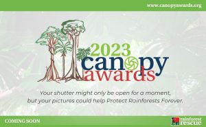 2023 Canopy Awards - Rainforest Rescue