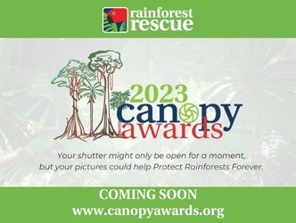 COMING SOON - 2023 Canopy Awards Rainforest Rescue