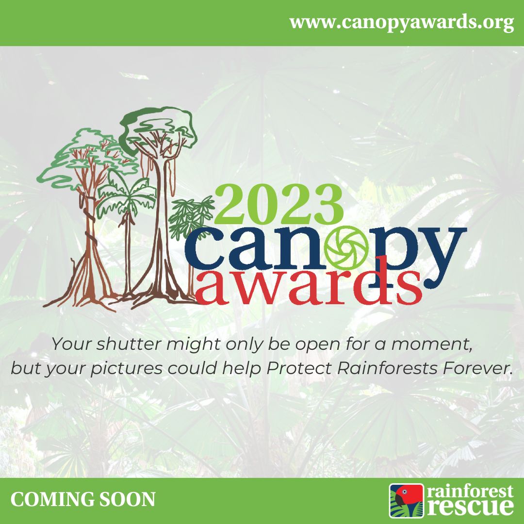 2023 Canopy Awards - Rainforest Rescue