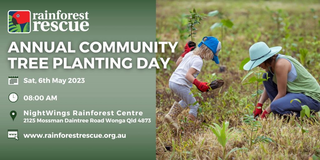 2023 Annual Community Tree Planting Rainforest Rescue