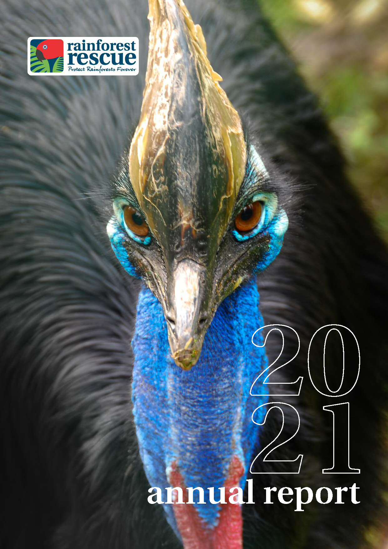 About Us Protect Rainforests Forever Rainforest Rescue