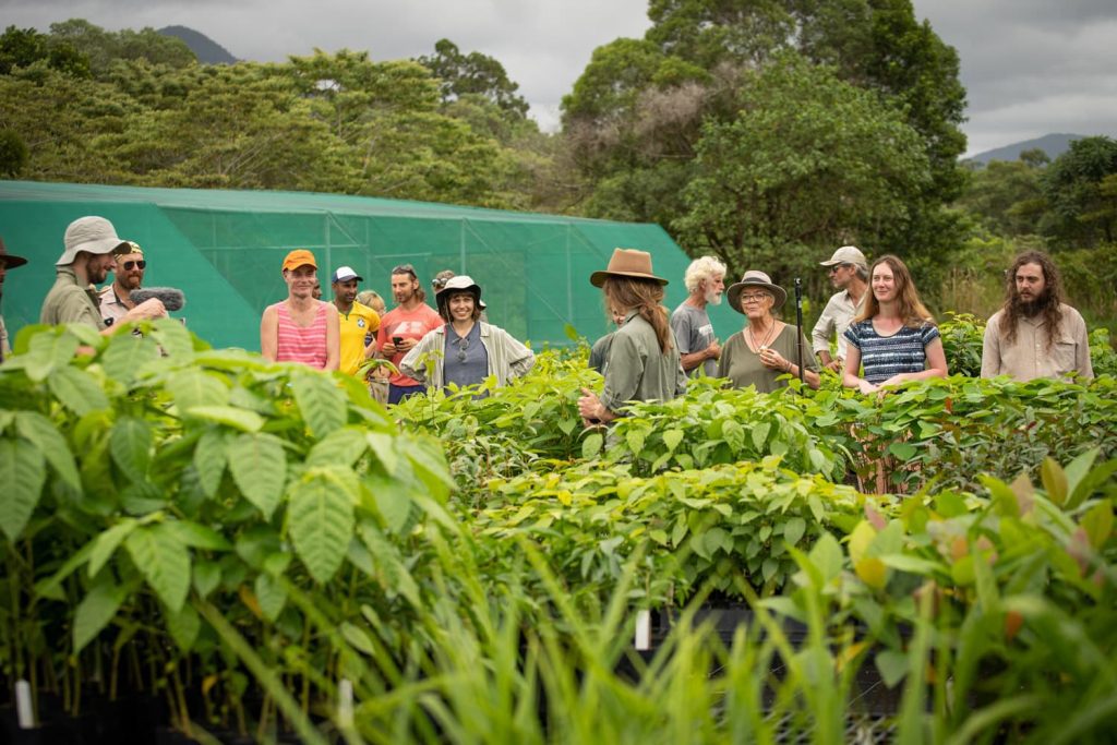 Rainforest Rescue 2023 Annual Community Tree Planting Day attendees visit the new Native Nursery