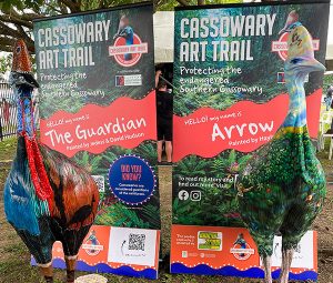 Cairns Ecofiesta 2023 - Cassowary Art Trail