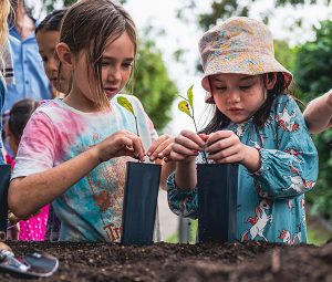 Cairns Ecofiesta 2023 - Kids tree planting