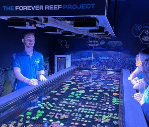 Team highlighting coral species in Forever Reef Project at Cairns Aquarium
