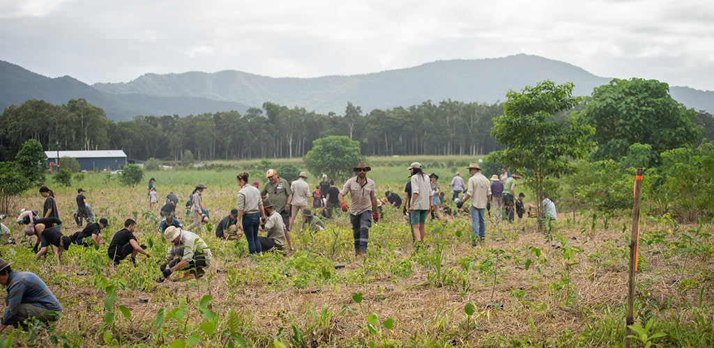 Nightwings Rainforest Centre hosts our 2023 Community Tree Planting Day