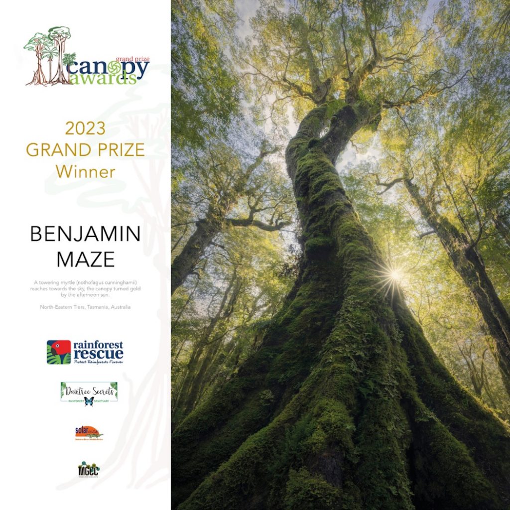 Canopy Awards 2023 - Grand Prize winning image from Benjamin Maze