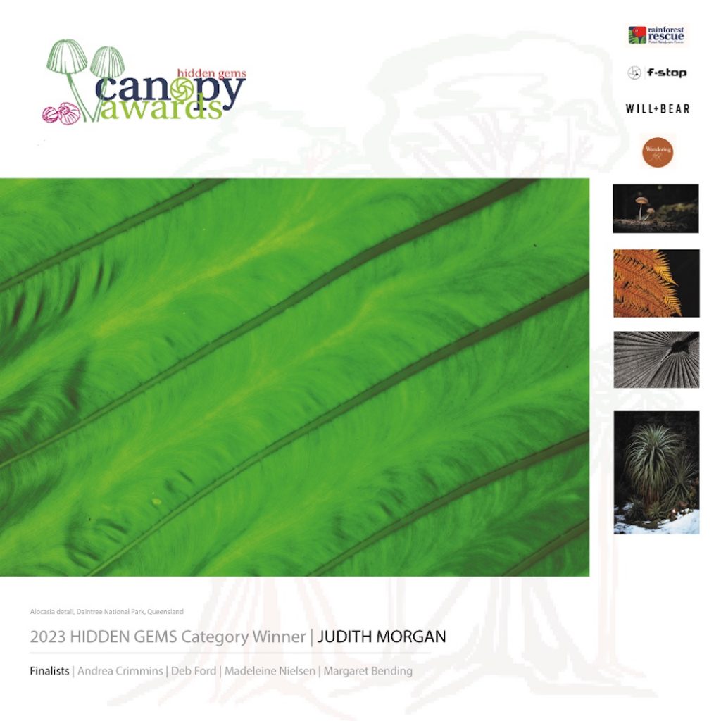 Canopy Awards 2023 - Hidden Gems winning image from Judith Morgan