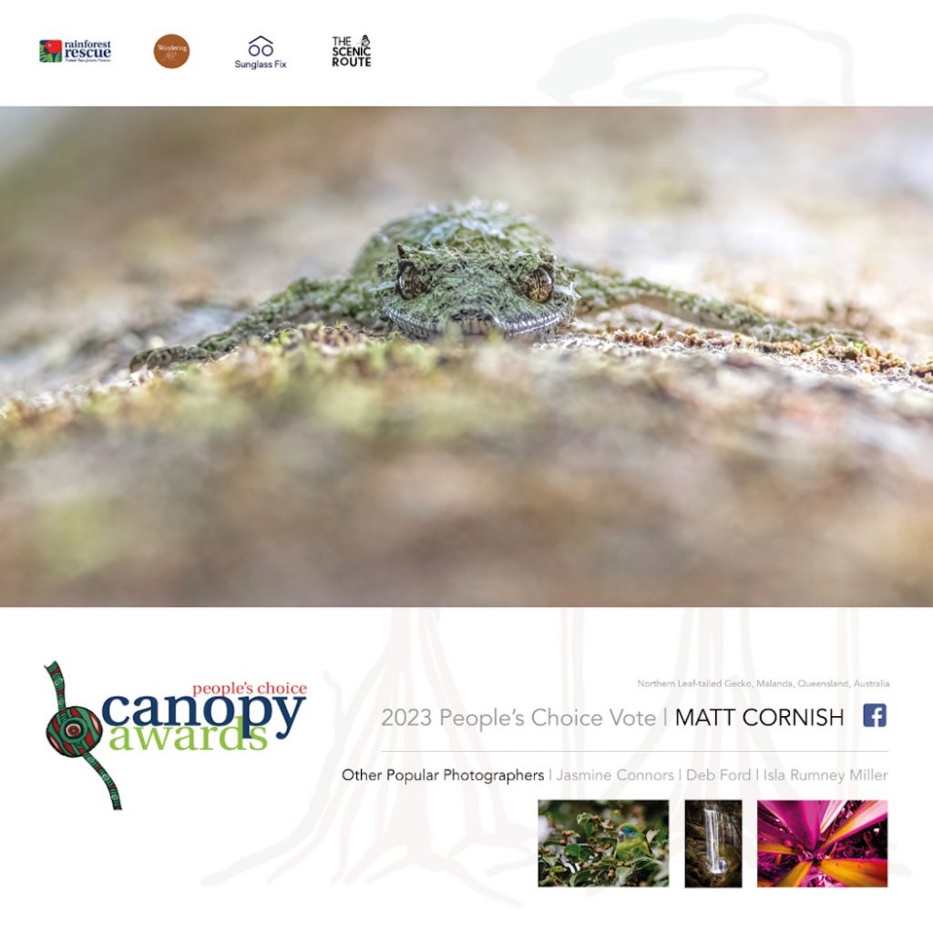 Canopy Awards 2023 - People's Choice winning image from Matt Cornish