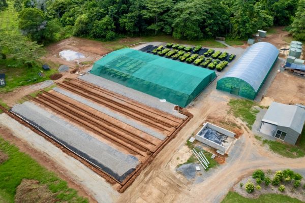 New Native Nursery in Cow Bay