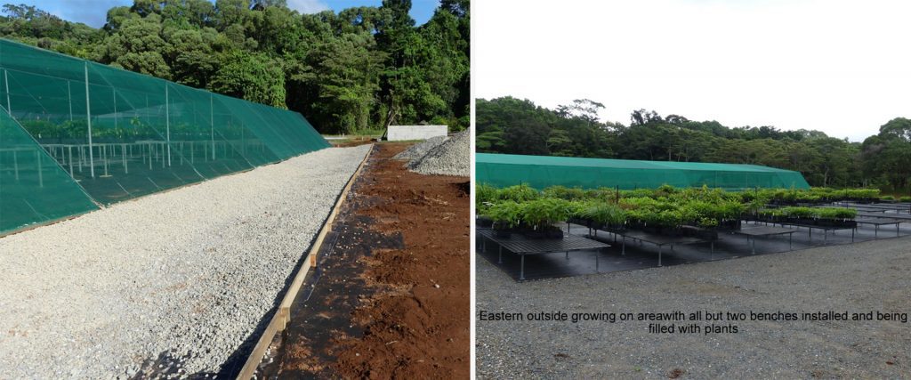 Drainage and shade house at the new Native Nursery